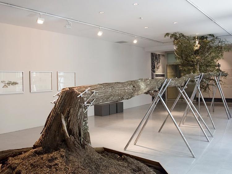 ARTBO: una década de compromiso con el arte moderno y contemporáneo ARTBO