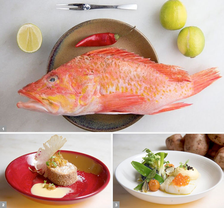 Lisboa: A Cevicheria