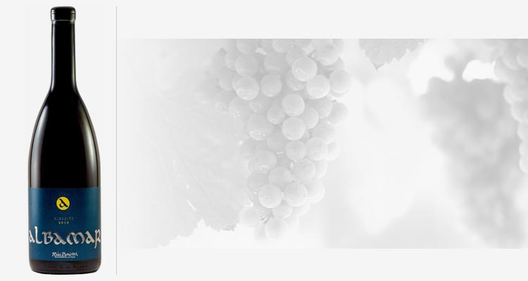 Albariño wines: A real treat from Galicia Albariño wines