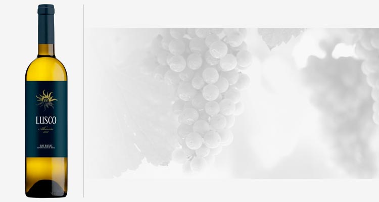 Albariño wines: A real treat from Galicia Albariño wines