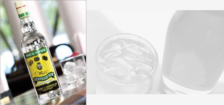 Algunos de los rones más apreciados y destacados del mundo Rones exclusivos