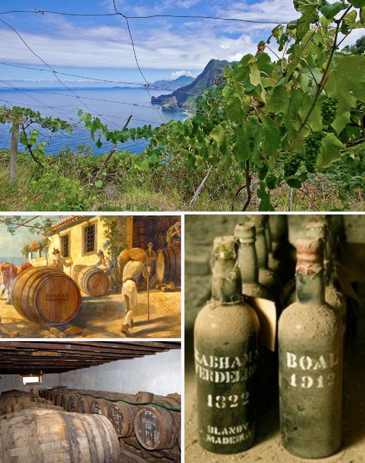 Vinos de Madeira
