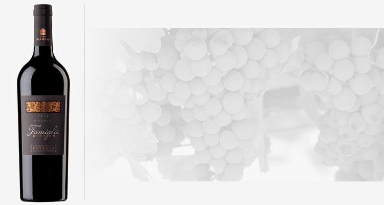 Vinos Malbec de Argentina