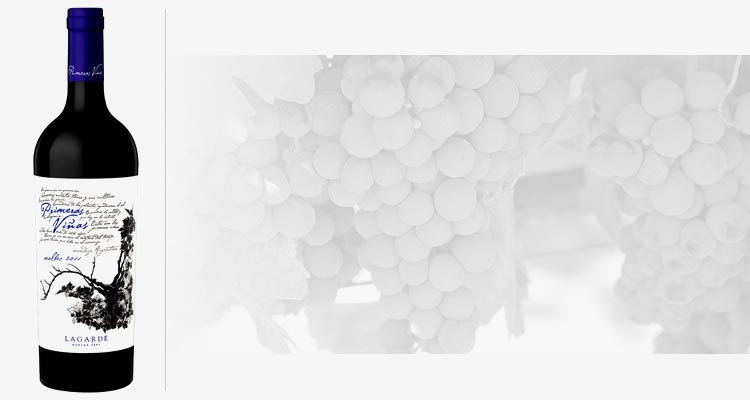 Vinos Malbec de Argentina