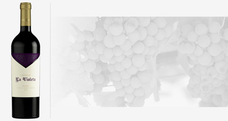 Vinos Malbec de Argentina