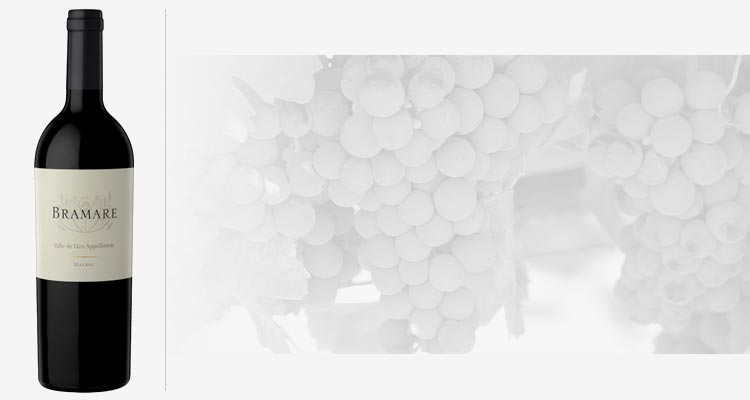 Vinos Malbec de Argentina