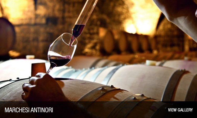 MARCHESI ANTINORI