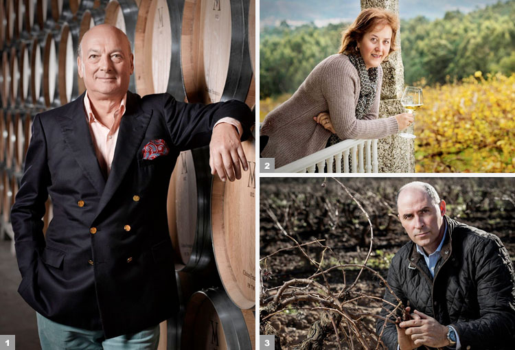 Vinos Marqués de Vargas