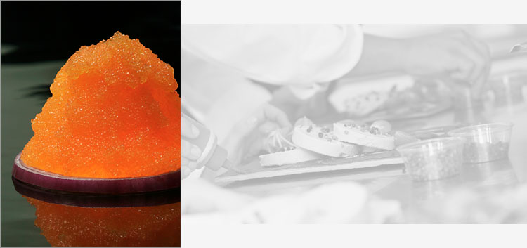 More Global Gastronomic Delights for Passionate Gourmands More Global Gastronomic Delights