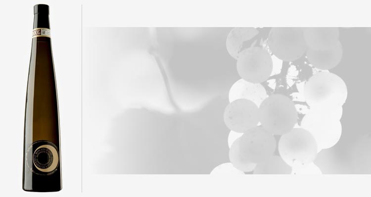 Moscato d'Asti: The bubbly Italian Sweetness Moscato d'Asti