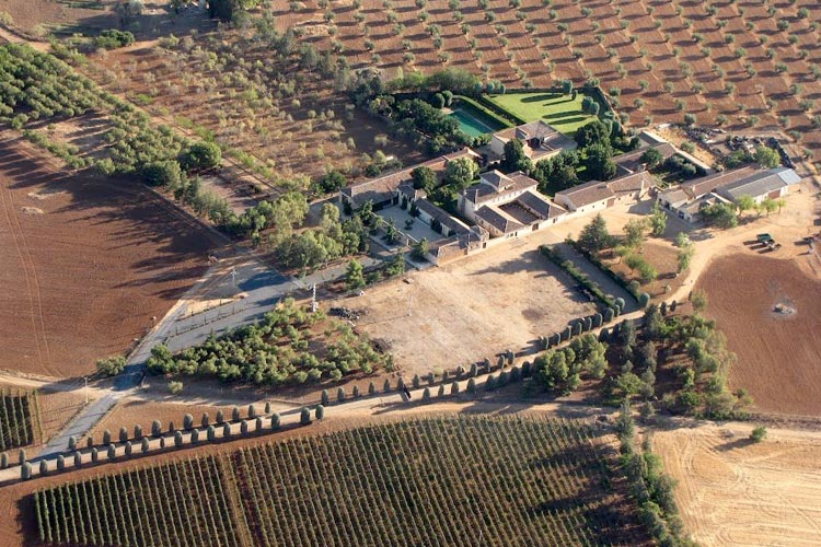 Bodega Romaila, en tierras del Cid Campeador Bodega Romaila