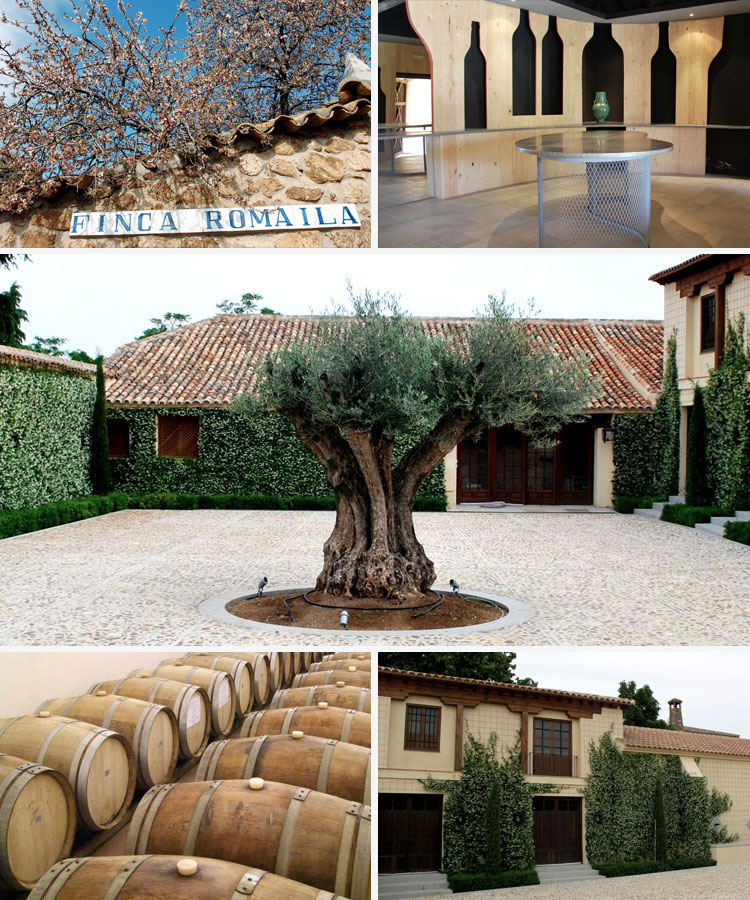 Bodega Romaila, en tierras del Cid Campeador Bodega Romaila