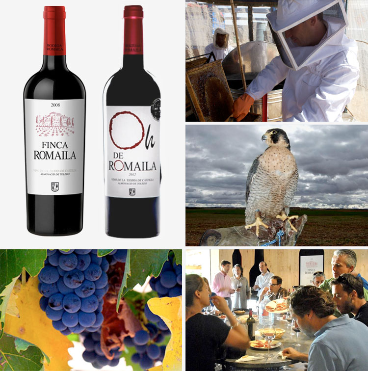 Bodega Romaila, en tierras del Cid Campeador Bodega Romaila