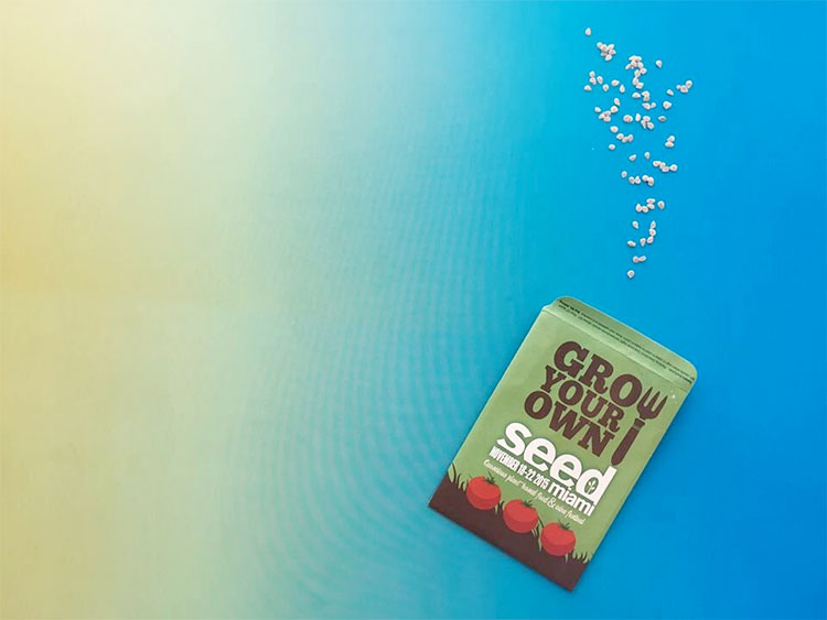 Seed Food and Wine Festival: el arte de lo sano Seed Food and Wine Festival