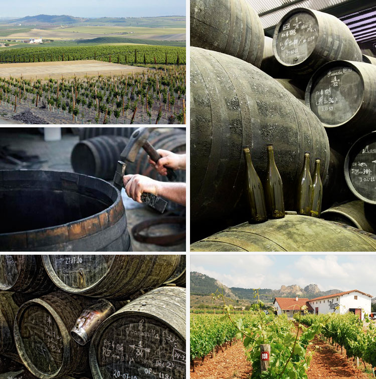 Sherry: The amazing Andalusian aperitif Sherry Wine