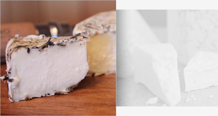 Dzorette, Mont Vully y Sbrinz: tres grandes quesos suizos Quesos suizos