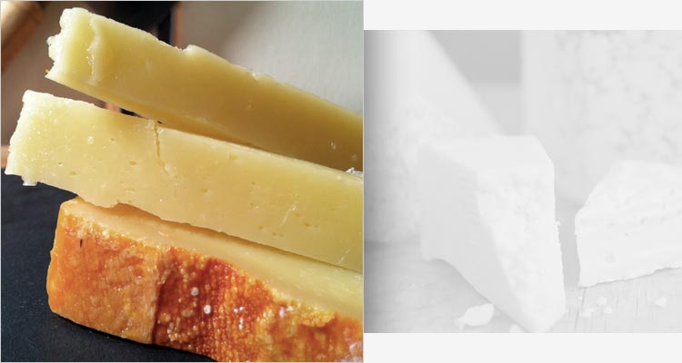 Dzorette, Mont Vully y Sbrinz: tres grandes quesos suizos Quesos suizos