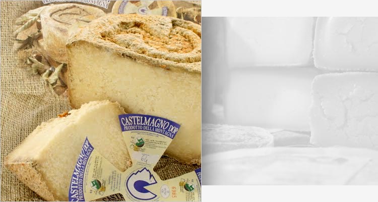 Three Italian cheeses