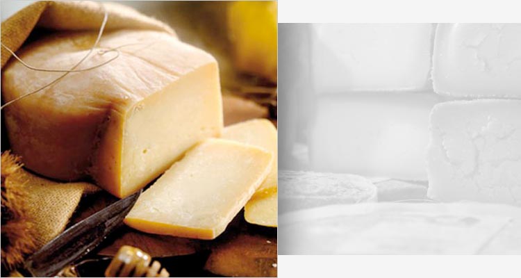 Three Italian cheeses