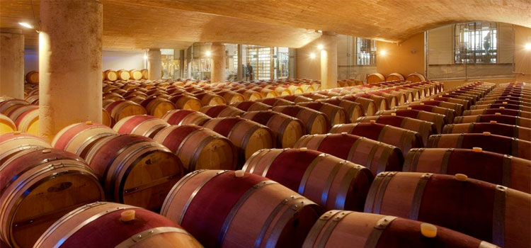 Great Wines of South Africa