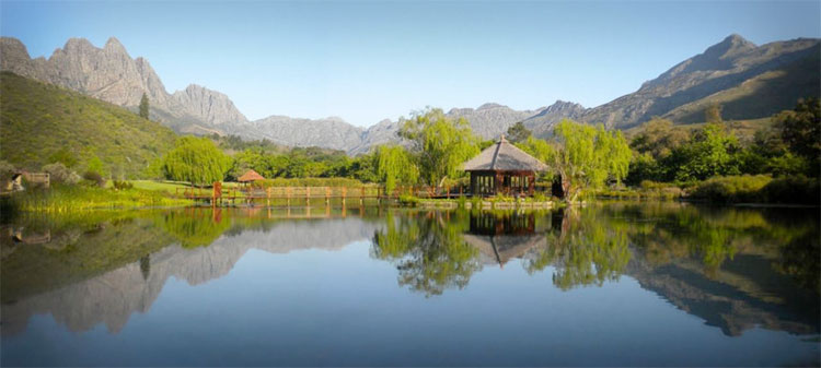 Great Wines of South Africa