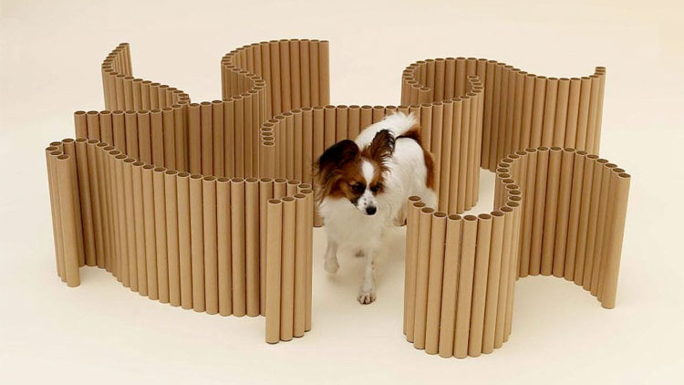 Uno de los diseños de Arquitectura para Perros.
