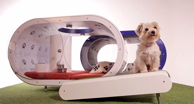 Samsung Dream Doghouse, una casa de perros soñada.