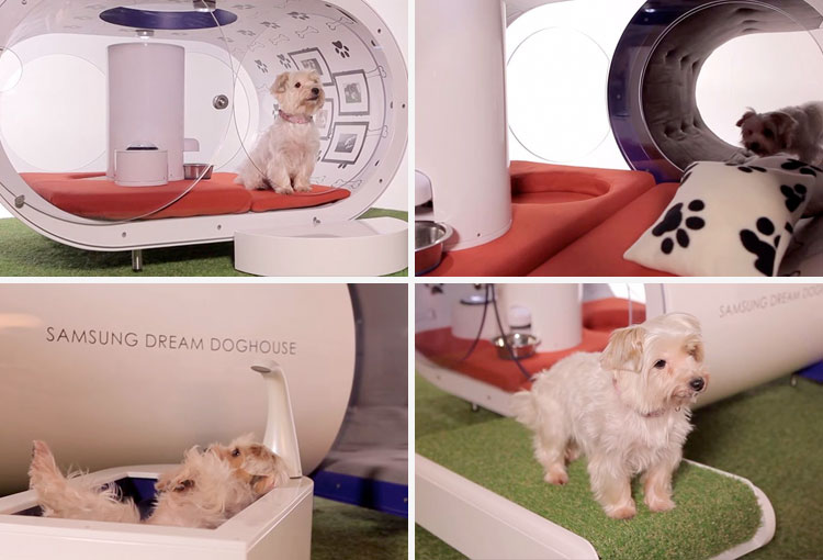 Samsung Dream Doghouse, una casa de perros soñada.