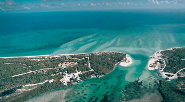 Parrot Cay