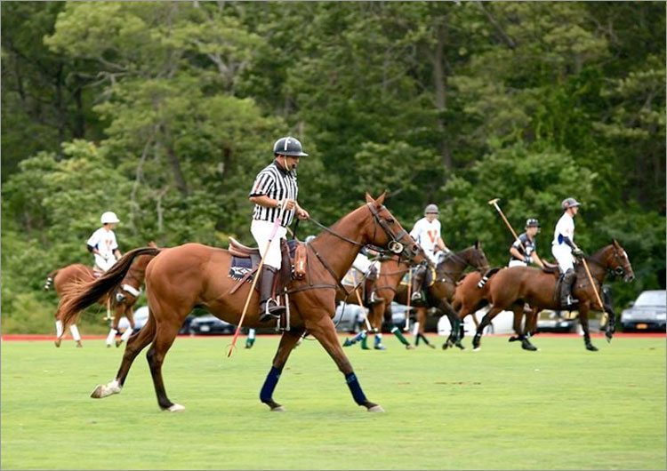 Harriman Cup Polo Match
