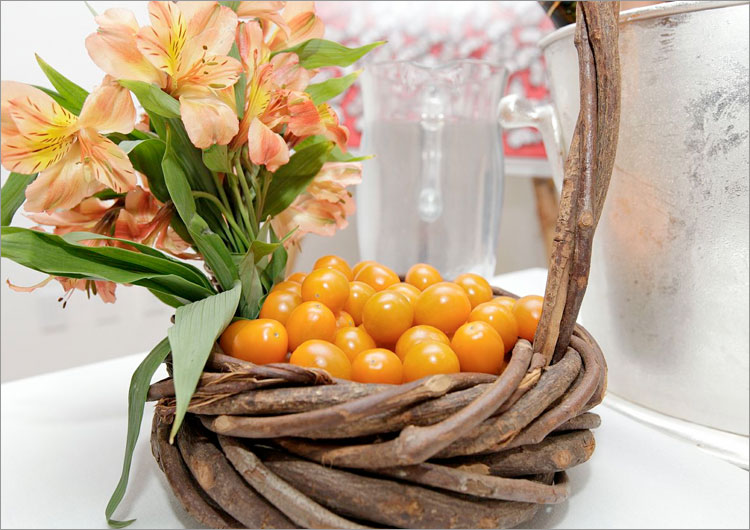 Wellness Institute of the Americas Evento benéfico para la Fundación YoungArts