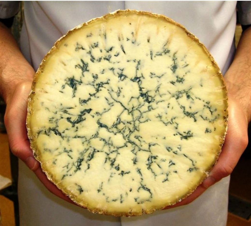 El queso Stilton listo para consumir 