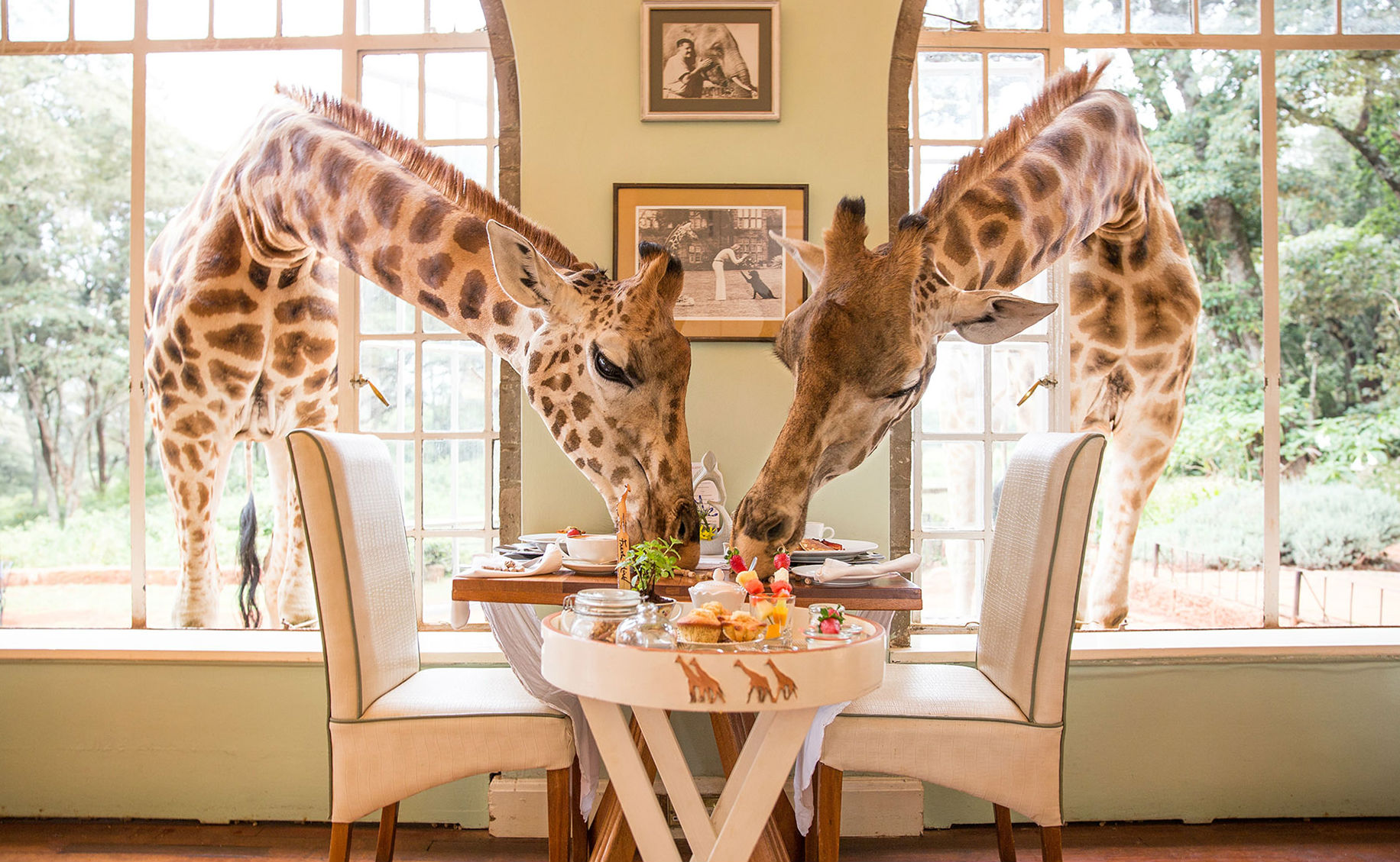 Giraffe Manor: un hotel de lujo ubicado en una noble mansión victoriana