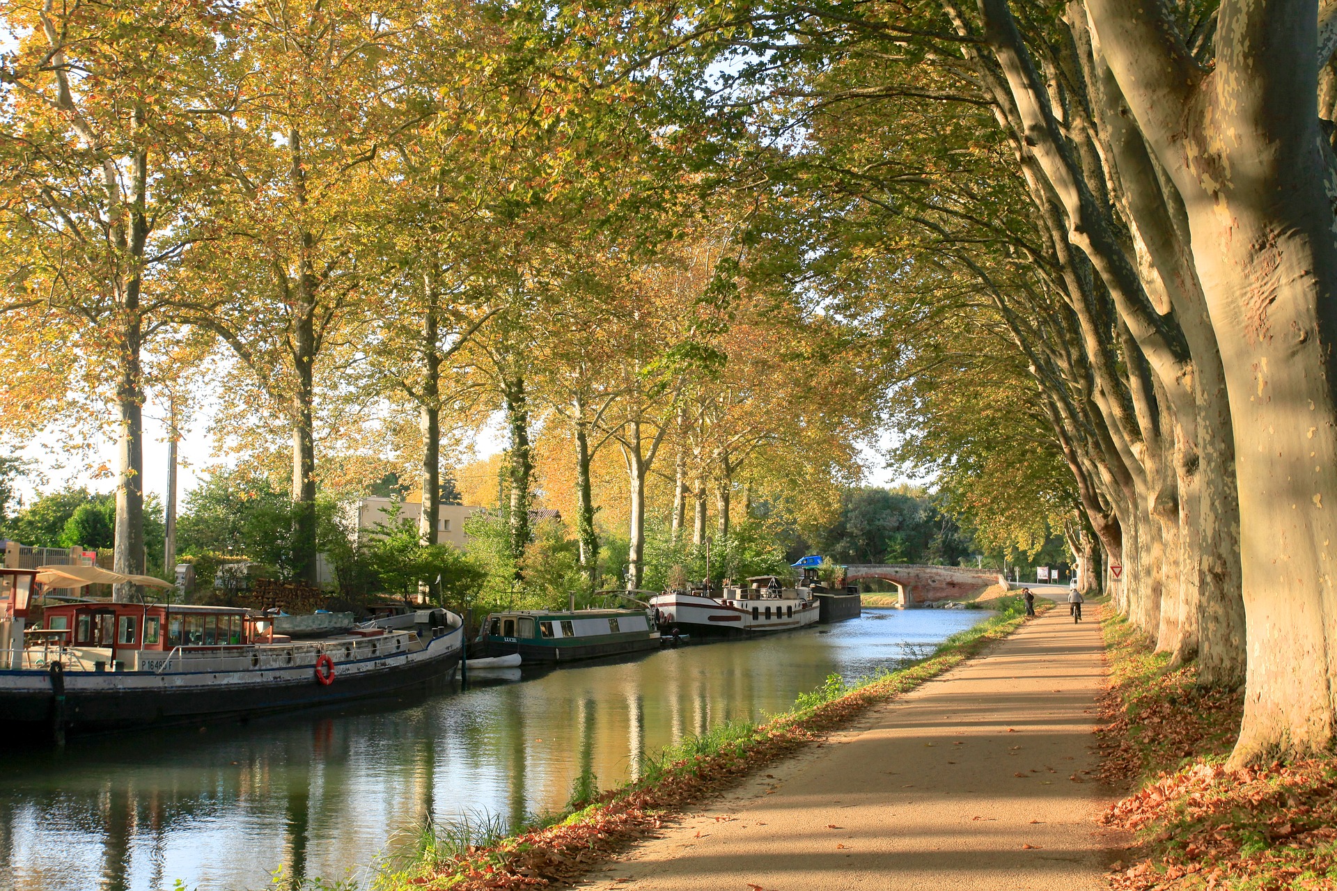 Canal du Midi: The Best and Most Fun Way to Discover France