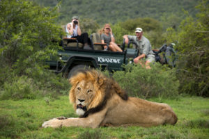 Safari Adventure at Kawande
