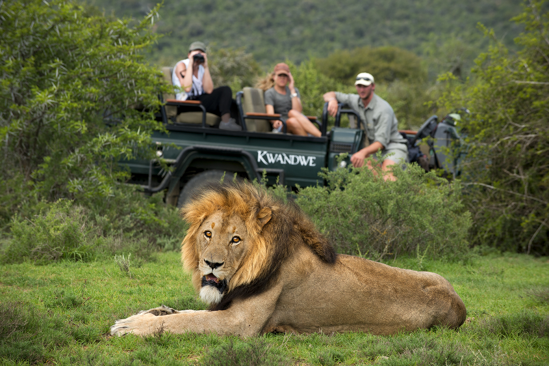 Safari Adventure at Kawande