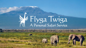 Flyga Twiga Logo ©FlygaTwigaLLC