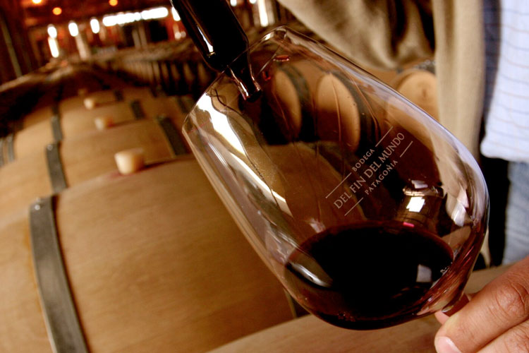 Bodega del Fin del Mundo