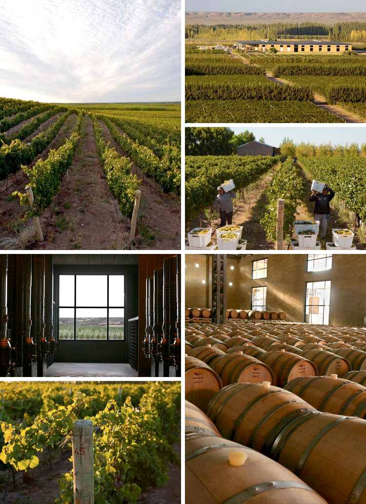 Bodega del Fin del Mundo