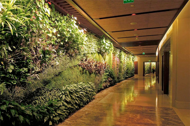 patrick blanc, botanist, france, vertical gardens, how to guide, history, techniques, decoration, biodiversity, how to create a vertical garden, sustainable architecture, urban beautification, icon hotel, hong kong, life marina, ibiza, grand palais, paris, perez art museum, miami