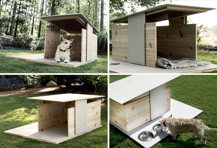 Puphaus: An Avant-Garde House For Your Pet