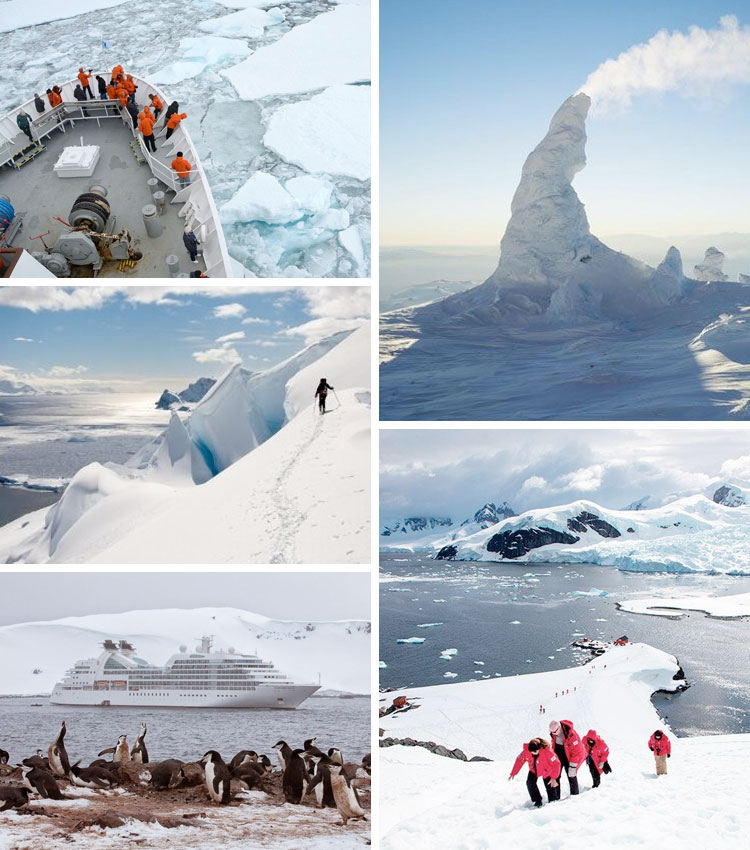 Cruceros antárticos