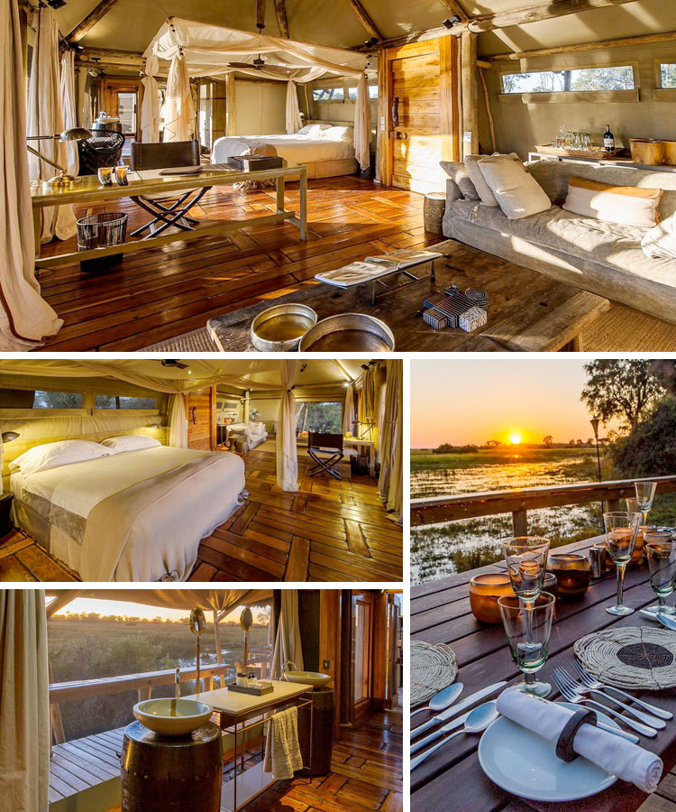 Mombo Camp: How to Enjoy Africa's Natural Beauty from a Legendary Camp Mombo Camp