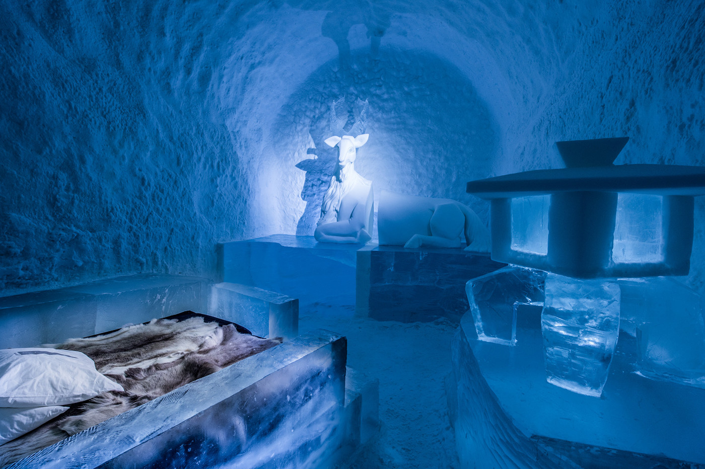 art suite oh deer icehotel x