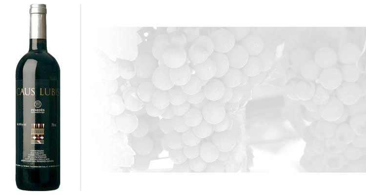 best merlot wines, castello vicchiomaggio fsm 2006, caus lubis magnum 1997, henschke abbotts prayer merlot cabernet 2010, best spanish wines, best italian wines, best australian wines
