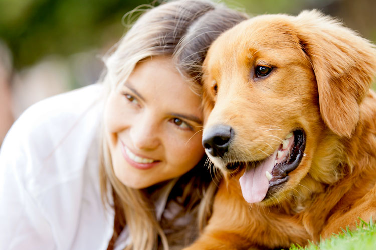 The Top 5 Pet Charities in the US